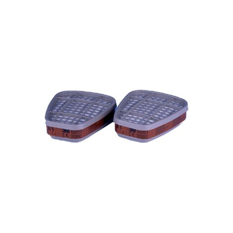 FILTRO PER GAS VAPORI P/6000-COPPIA-