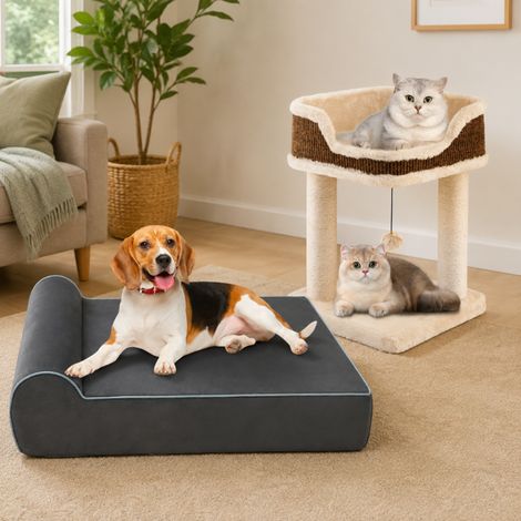 Set «Multi-Pet Comfort» (2 piezas): cama para perros de espuma viscoelástica y árbol para gatos compacto de felpa (1/5)
