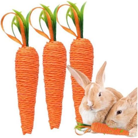 Jouet à mâcher Carotte pour Lapin - Marque - Modèle - Caracteristique 1 - Caracteristique 2 - Caracteristique 3 (1/4)