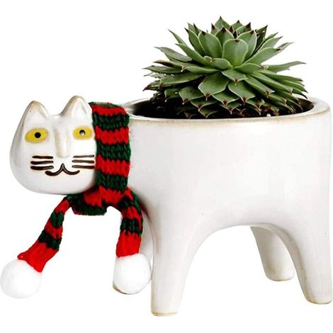 YMYNY Pots de jardinières succulentes - Pots de Fleurs d'animaux en céramique DIY Cartoon Succulent Pot Cute Cat Succulent Planter Plant Conteneur avec écharpe de Chat pour la décoration de la Maison