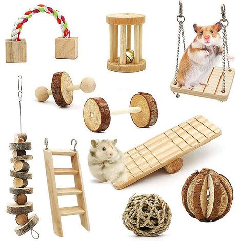Blue Dream Jouets à Mâcher pour Hamster Lot de 10 Mâcher en Boi (1/5)