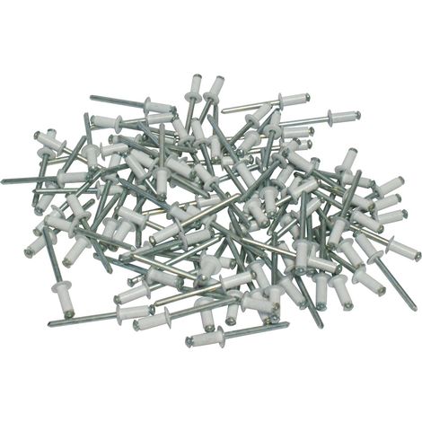 Cora 000116016 Kit 100 Rivetti Fissaggio Targa, Bianco (1/3)