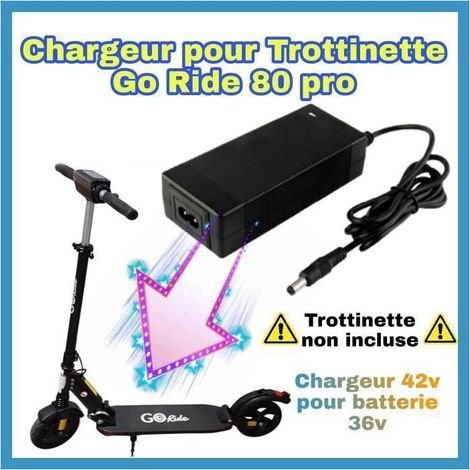 42V-Ladegerät für Go Ride 80 Pro / Night Elektroroller mit 36V-Akku [42V-Ladegerät für 36V-Akku] (1/5)