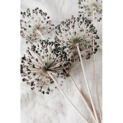 Tableau sur toile fleurs séchées 30x45 cm - Impression sur Toile Murale Décorative - Image imprimée en HD sur Toile - Toile sur Châssis en Bois FSC - Fabriqué en France
