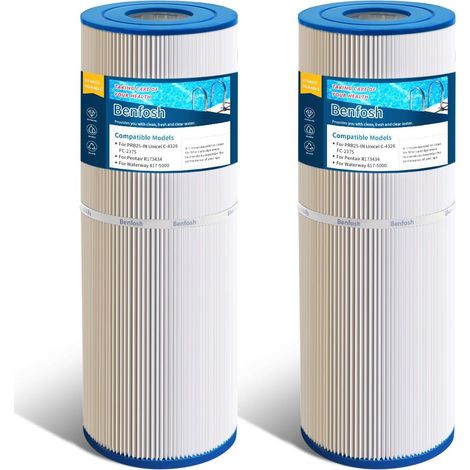 Lot de 2 filtres spa pour Remplace PRB25-IN C-4326 FC-2375 - Lot de 2 filtres spa (1/5)