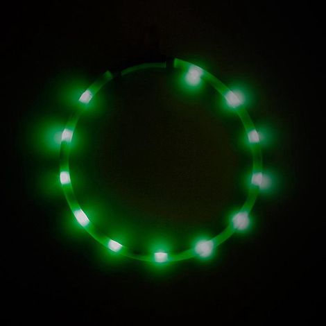 collier Lumineux Pour Chiens, Collier De Chien Led Rechargeable Usb, Clignotant Collier De Scurit Rglable Pour Petit, Moyen Et Grand Chien, Vert (1/4)
