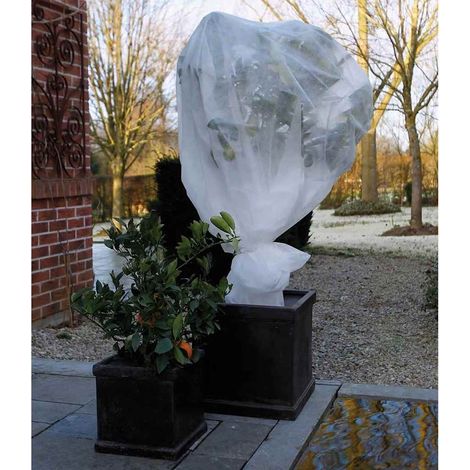 Nature Couverture en polaire dhiver 30 g/m2 Blanc 2x10 m (1/4)