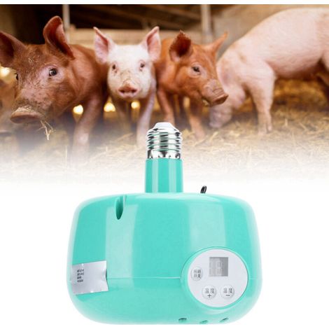 E27-Wärmelampe, einstellbarer Temperaturthermostat für Wärmespeichergeräte