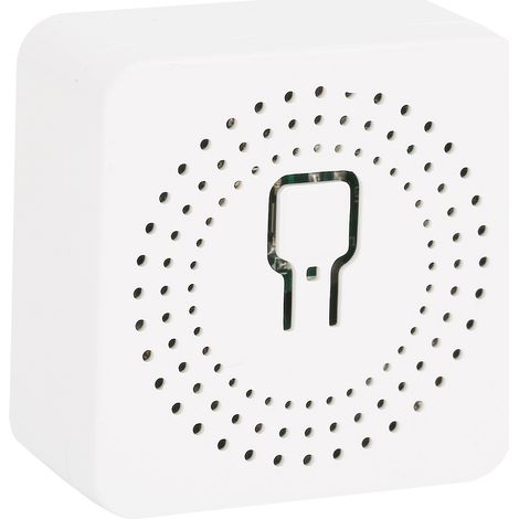 Interrupteur WiFi 16A Mini Module Intelligent Commande Double à Distance 100-240V