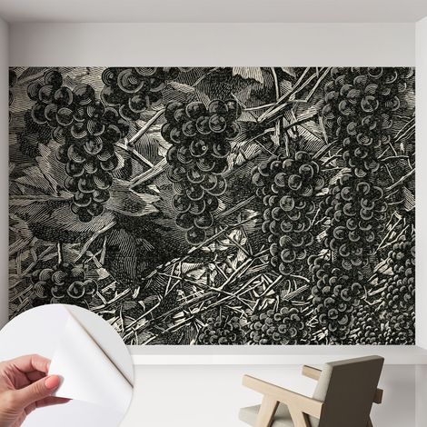 Papier peint autocollant adhésif avec motifs pour salon et chambre accessoire stylé pour votre intérieur Imprimé raisin 152x104 cm (1/5)