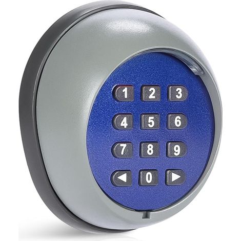 Clavier à Code sans Fil pour Système de Sécurité Moteur Ouverture de Portail Domestique Portée 200m Porte Intérieur et Extérieur Serrure de Porte sans Clé 433.92MHz (1/5)