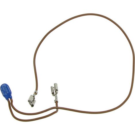 Fusible thermique de la pompe