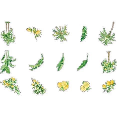 Lot de 15 autocollants fleurs PET, motifs floraux raffinés, déco adhésive DIY pour carnet, scrapbooking, album photos - Type2 (1/5)