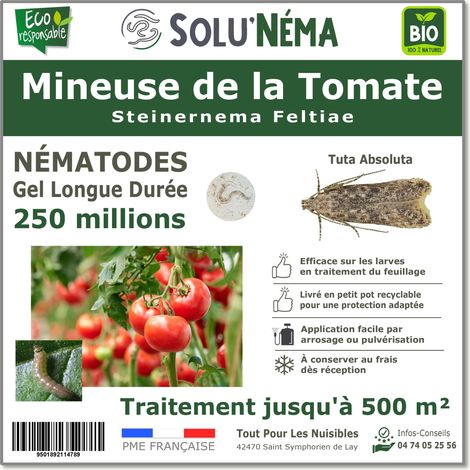 Traitement Mineuse de la tomate - 250 Millions Nématodes SF