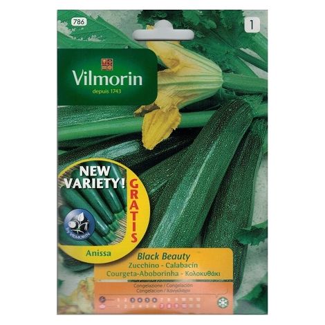 Graines de Calabacin Black Beauty Vilmorin 7g