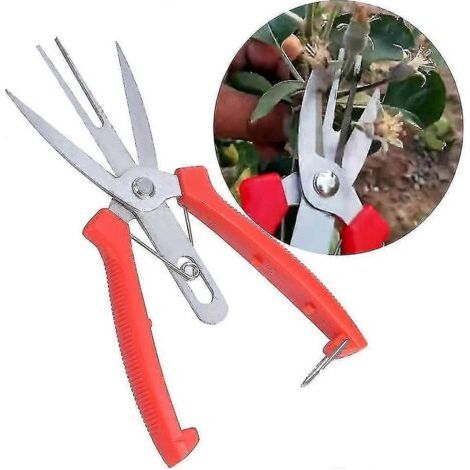 Cisaille à pommiers et poiriers en acier inoxydable forgé (outils agricoles à double crochet) Cisaille à éclaircir les fleurs et les fruits (1/5)