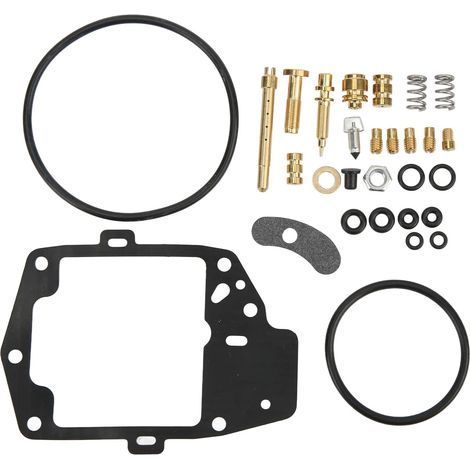 Kit de Réparation de Carburateur, 118 Pièces Kit de Reconstruction de Carburateur avec Joint Torique Valve Aiguille Jet Vis Ressort de Remplacement pour Goldwing 1000 GL1000 (1/4)