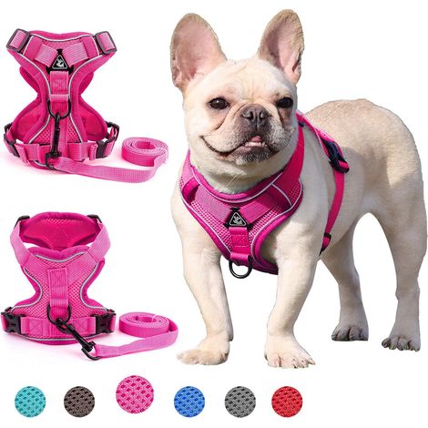 1 Harnais Chien, Anti Traction, Maille Respirante, Réfléchissant, Réglable, Pour Marche Et Dressage, Rose XL (1/5)