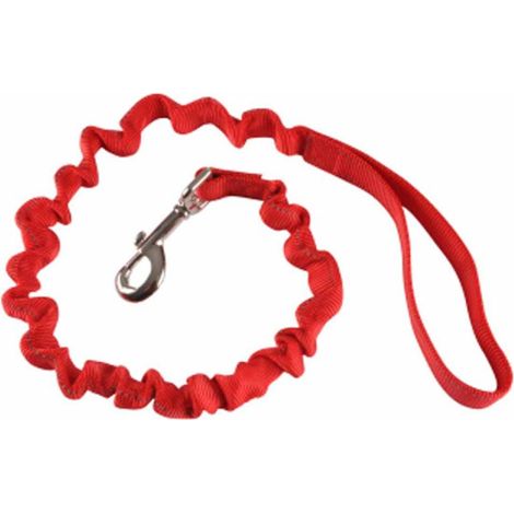 Laisse Anti à Coups pour Chien "Essentiel" 120cm Rouge (1/2)