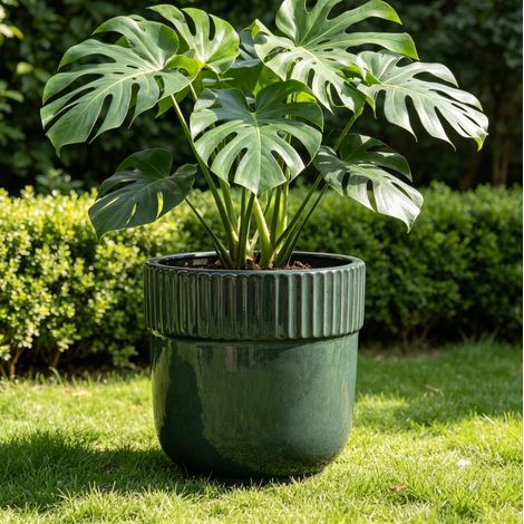 Maceta de cerámica de Ø 38 cm, apta para interior y exterior, acabado verde oscuro brillante, para plantas grandes. (1/5)