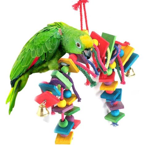 Jouet à mâcher pour perroquets, corde à suspendre, échelle pour animaux de compagnie, support en bois, perruche, cockatiel, cage à oiseaux