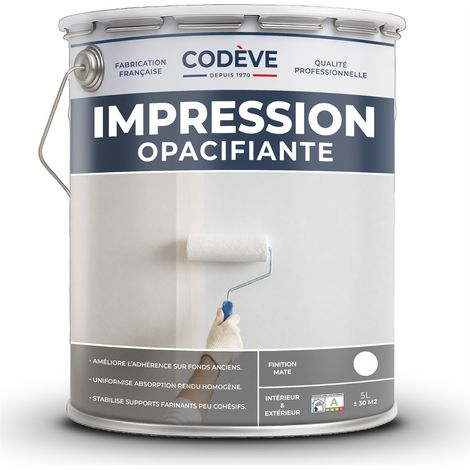Impression Opacifiante - 5 L - Codeve Bois - RAL 9010 - Blanc pur - Pour Couvrir Votre Mur En Plâtre Ou Placoplatre Avant Une Finition. (1/5)