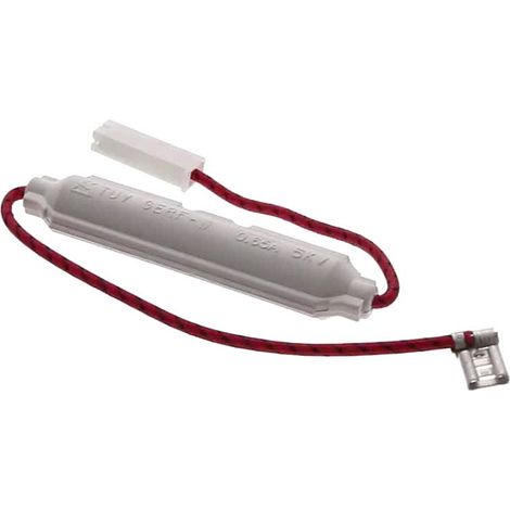 BLUESKY, FUSIBLE Micro onde HT 0.65A 5KV (1/2)