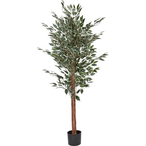 Planta artificial en maceta para interior decoración de plástico maceta negra 167 cm Ficus Tree