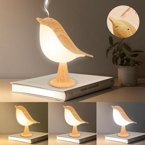 Lampe de Chevet Tactile, avec 3 Modes Dimmable, Lampes De Table Sans Fil, Décoration pour Maison (1/5)