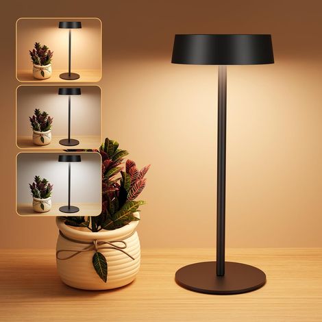 1 Lampe Solaire,Rechargeable USB-C,3 Modes Couleur,Luminosité Réglable,IP65 Étanche,Intérieur Extérieur (1/5)