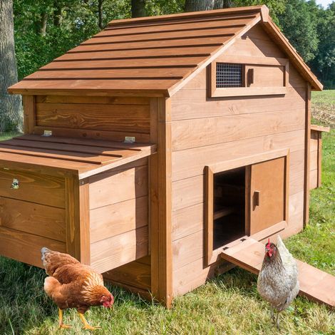 Bb-Loisir – Poulailler en bois pour canards – Enclos extérieur avec 2 nichoirs – Dimensions 185 x 84 x 112 cm – Bois massif traité écologique (1/5)