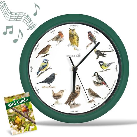Birdsong Clock Horloge Chant d'oiseau, Original, avec 12 Oiseaux chanteurs indigènes, Temps de Silence la Nuit, enregistrements Originaux de la Nature, Idée Cadeau Originale