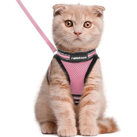 Cat Harness with Lead, Breathable Kitten Harness and Reflective Band Vest Small Dog Adjustable Black M Animal Collar for Persian Ragdoll American Shorthair Puppy Rabbit (1/5)