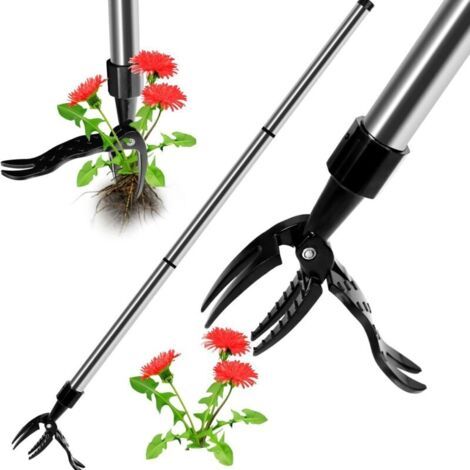 Désherbeur À Main Outils, Outil Manuel de désherbage Outil de désherbage à Long Manche avec 4 Griffes Extracteur de Mauvaises Herbes Désherbage en Acier Inoxydable Outil pour Pelouse Jardin