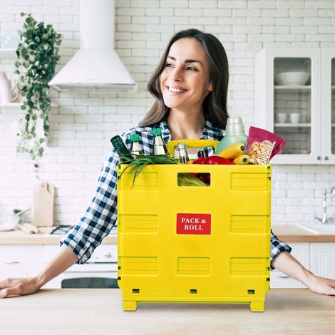 Zusammenklappbarer Einkaufswagen mit Teleskopgriff, 35 kg Tragkraft