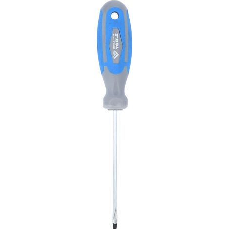 BRILLIANT TOOLS destornillador ranurado 3 mm BT030803