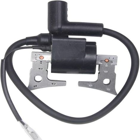 Bobine d'allumage haute tension compatible avec EH12 EH12-2 269-79430-01 (1/3)