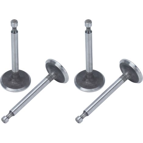 Kit de 2 soupapes moteur en acier inoxydable pour moteurs 168F GX160 (2 kW, 2,5 kW, 3 kW) (1/5)