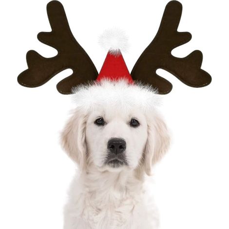 Serre-tête bois de renne pour chien, chapeau élan classique, accessoire costume animal, coiffe mascotte, taille unique, déguisement fête (1/3)