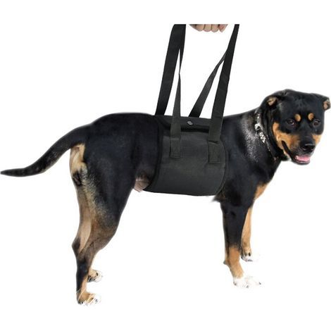 Hundehebegeschirr, Hundestützgurt mit Griff zur Unterstützung des Hundes (1/5)