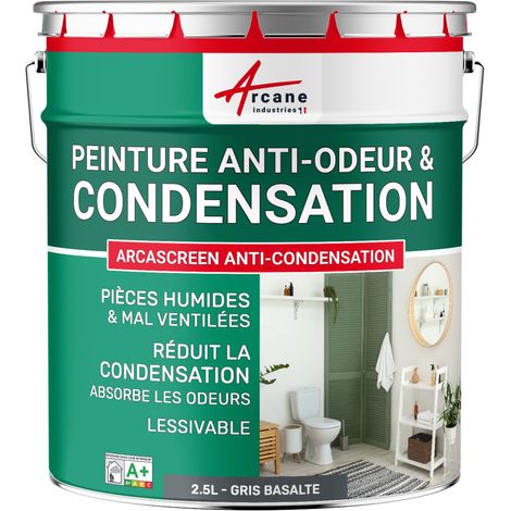Peinture anti condensation, anti odeur, moisissure - 2.5 L Gris Basalte - RAL 7012 - ARCANE INDUSTRIES