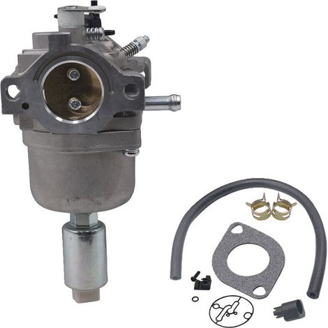 Vergaser für Briggs & Stratton Motoren 287707 287776 287777 310707 310777 698620 690194 791886 799727 496796 499153 695412 792768 – Vergaser-Austausch (1/4)