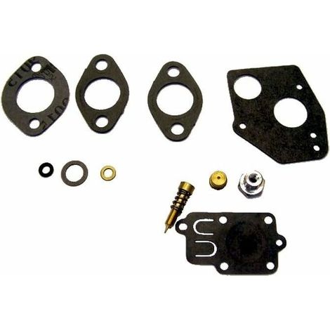 Kit membrane + joint de carburateur pour BRIGGS ET STRATTON (1/3)