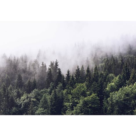 Papier peint panoramique vert & blanc nature | Tapisserie panoramique arbre & brouillard | Papier peint panoramique forêt pour cage d'escalier - 366 x 254 cm (8 pièces) (1/2)
