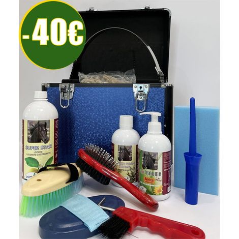 Silber - GROOMING SET SAVE 40 Euro. 12-teiliges großes Topcase plus Zubehör plus Pferdepflegeprodukte der Marke Union Bio (1/5)