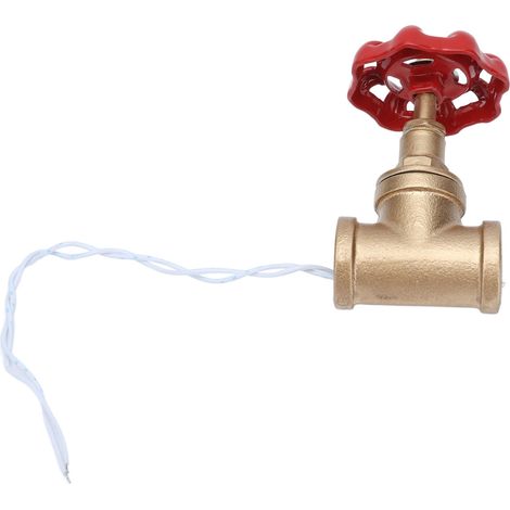Interrupteur Lumière Industriel G1/2 pour Tuyau, Commutateur Lampe Steampunk avec Fil 12V/120V