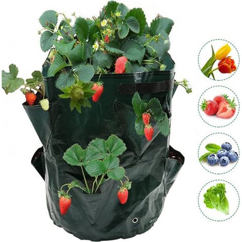 Paquete de 2 bolsas para cultivar fresas: bolsas para cultivar fresas y jardineras (1/3)