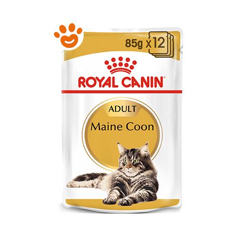 Royal Canin Cat Adult Maine Coon  - Royal Canin Cat Adult Maine Coon - Bustina Da 85 Gr