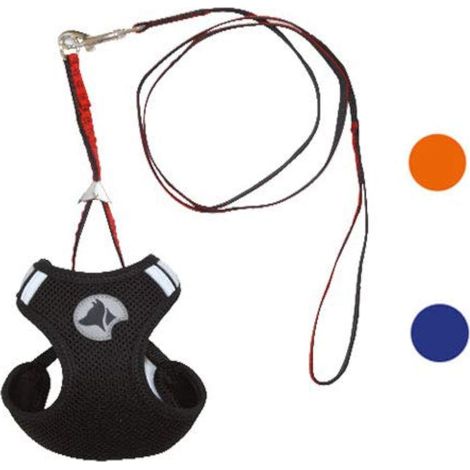 Parure Harnais + Laisse Hiking Mesh, Orange L pour Chien