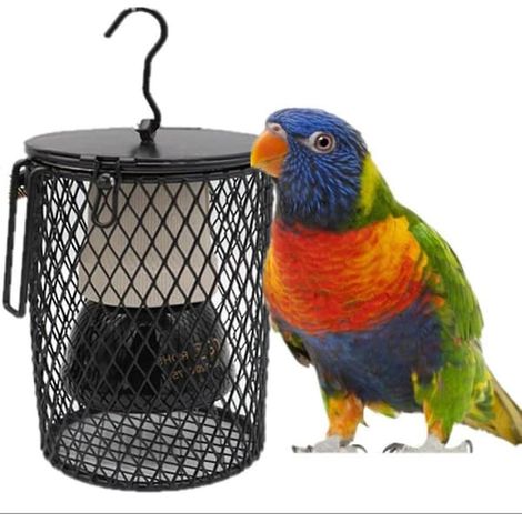 BelleRise - Lampe chauffante pour oiseaux et reptiles - Chauffage infrarouge en céramique 50 W pour animaux de compagnie en hiver F2 (1/5)